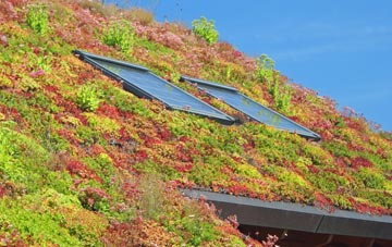 Tumpy Lakes living roof systems