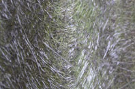 Tumpy Lakes fibreglass roof work